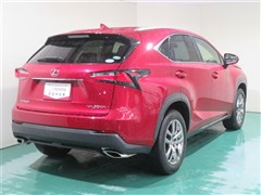 NX200t ヒョウジュンシャ