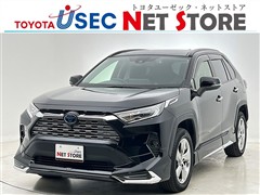 ＲＡＶ４