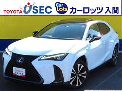 UX200Fスポ エモショエクスプロ