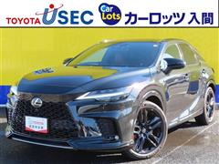 RX500h Fスポパフォーマンス