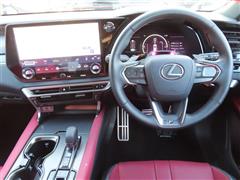 RX500h Fスポパフォーマンス