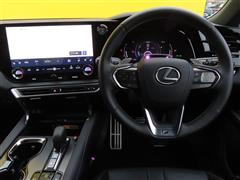 RX500h Fスポ パフォーマンス