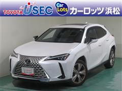 UXグレイスフル エクスプローラー