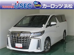 アルファードSタイプゴールド2
