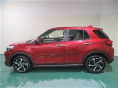 ライズ HV Z ヒョウガイ