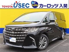 アルファード Z ヒョウガイシャ