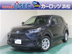 ライズ ハイブリッドGヒョウガイ