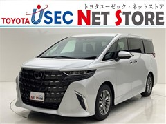 アルファードHEV ヒョウガイ