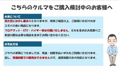 ハリアー HV ヒョウガイ