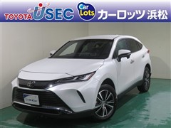 ハリアー G ヒョウガイ