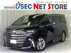 アルファード Z ヒョウガイ