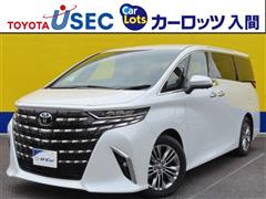トヨタ アルファード Z ヒョウガイ