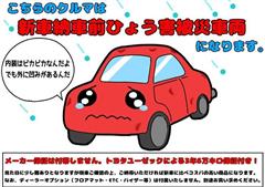 アクア Z ヒョウガイ