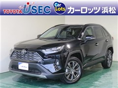 トヨタ RAV4 HEV G 4WDヒョウガイ