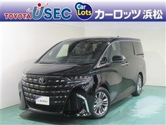 アルファード Z ヒョウガイ