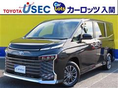 ヴォクシーHV S-Z ヒョウガイ