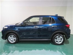 ライズ G 4WD ヒョウガイ