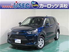 ライズ G 4WD ヒョウガイ