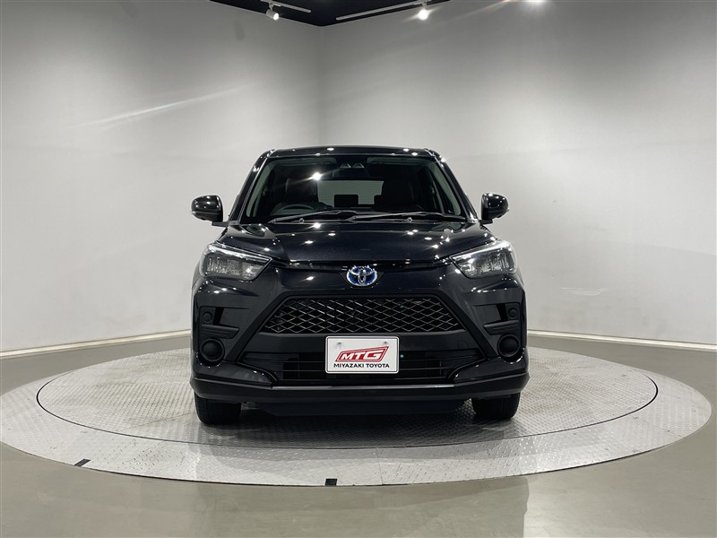 A1