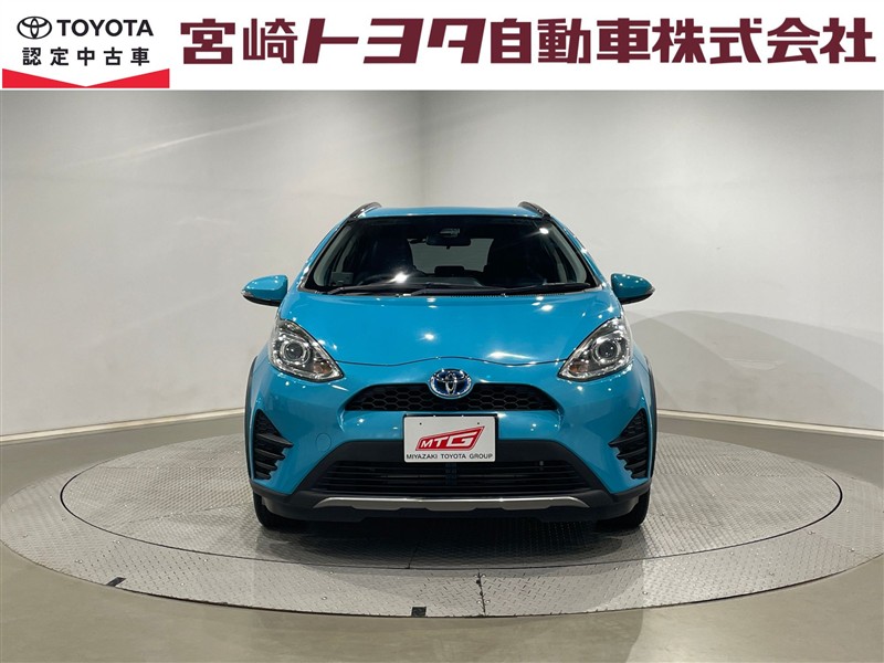 ライトクリアはげ
