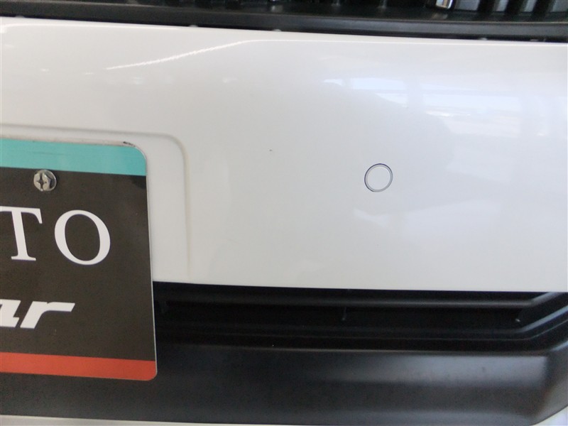 A1