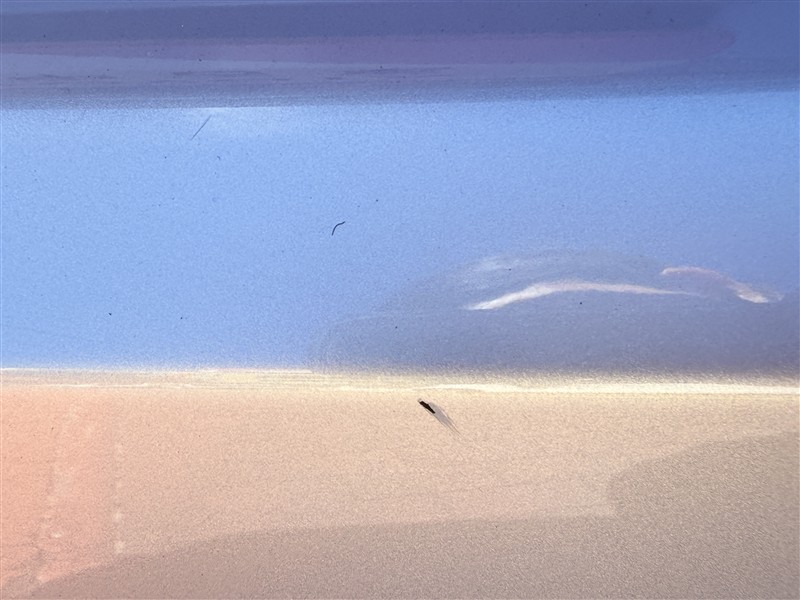 B1