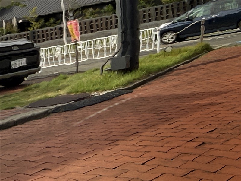 A1