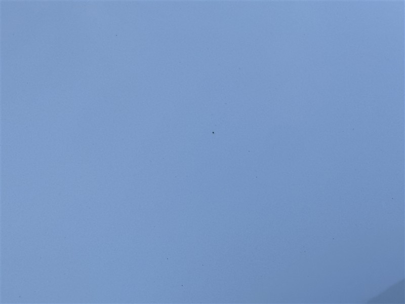 A1