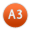 A3