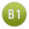 B1