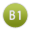 B1