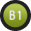 B1