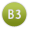 B3