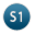 S1