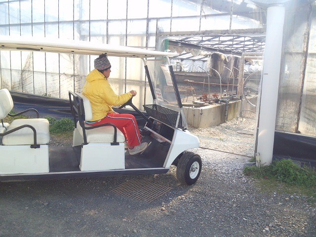 工場からお寺まで ゴルフカートが活躍する意外な場所とは トヨタ自動車のクルマ情報サイト Gazoo