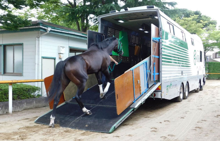 ストレスなく馬は移動できるの 競走馬を輸送する 馬運車 を解説