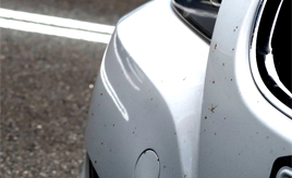 クルマに関する夏の悩み。車体にこびりつく虫汚れはどう落とす？どう防ぐ？