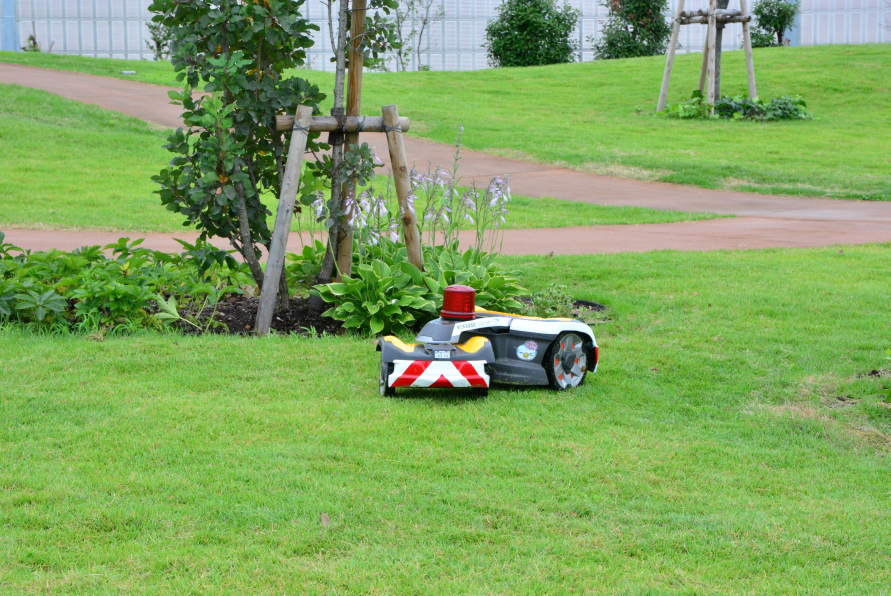 自動芝刈り機「グリーンパト」の作業エリアは、小型車駐車場の隣・散策エリアの芝生。（写真：鈴木ケンイチ）