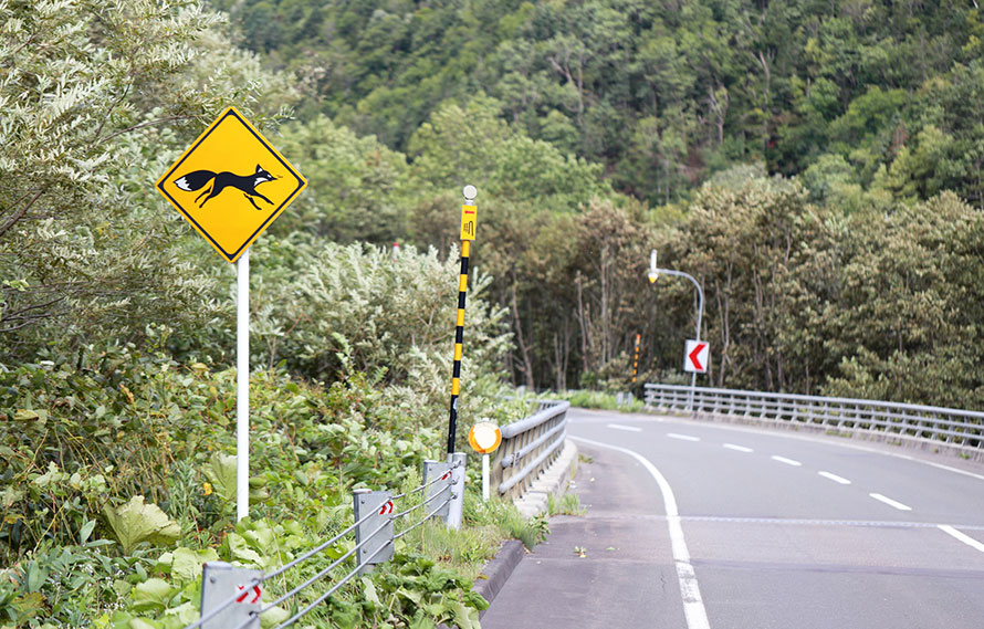 赤いきつねと緑のたぬきも 北海道の高速道路の動物注意看板まとめ トヨタ自動車のクルマ情報サイト Gazoo