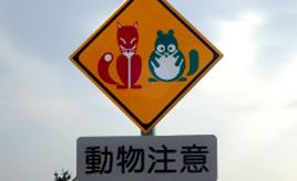 赤いきつねと緑のたぬきも！　北海道の高速道路の動物注意看板まとめ