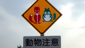 動物よけ警笛でシカの飛び出しは防げるか? ニッポンレンタカー北海道