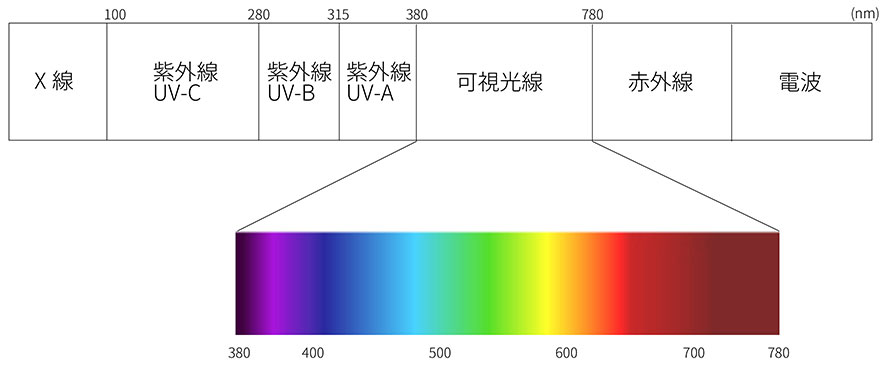 可視光線の範囲。信号が「緑（青）・黄・赤」なのは、可視光線の範囲内でも特にはっきりと見える種類の色だからです！