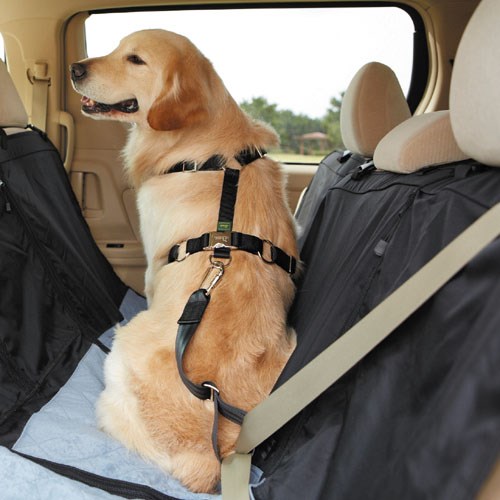 犬用シートベルトS