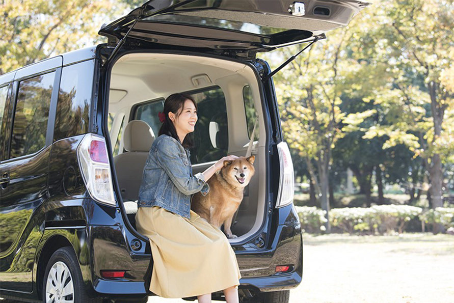 宿泊先に困ることなく、愛犬との旅を楽しむ