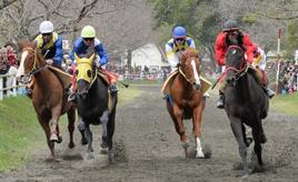 名馬の産地、綾町で迫力ある綾競馬を観戦　宮崎県綾町