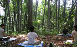 森の中でヨガ！注目のアウトドアアクティビティを体験するドライブ　長野県飯山市