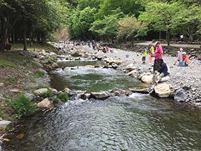 渓流釣りや魚のつかみどりが楽しめる！渓流の里へドライブ　福井県美浜町