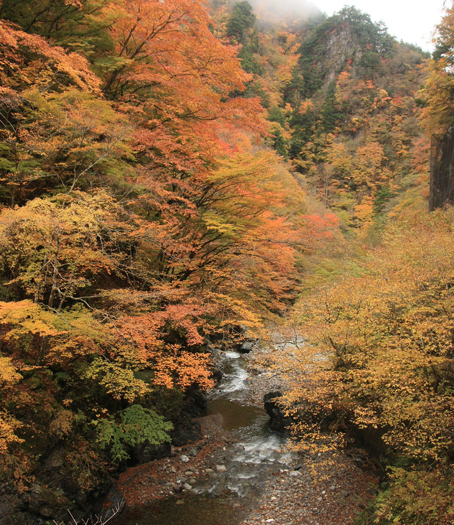 名勝・中津峡は奥秩父を代表する紅葉スポット。中津川沿いに約10㎞にわたって渓谷が続く。