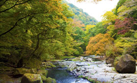見頃は11月上旬！紅葉狩りを楽しむ渓谷へドライブ　熊本県菊池市