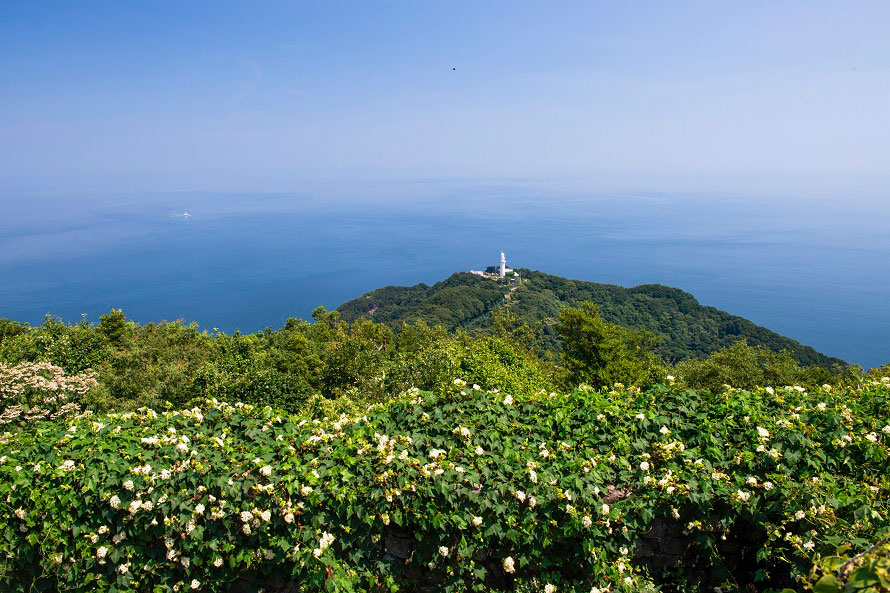 遠く見えるのは、昭和56年（1981）に完成した鶴御崎灯台。
